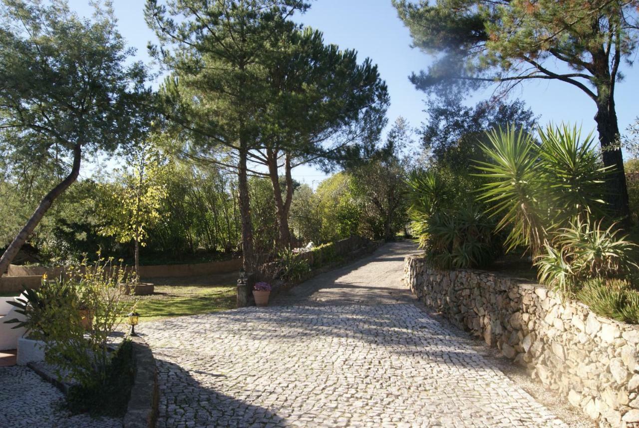 Casa Do Vale Villa Sao Pedro de Tomar Exteriör bild