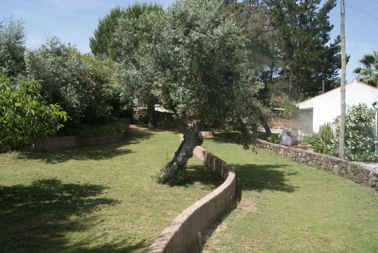 Casa Do Vale Villa Sao Pedro de Tomar Exteriör bild